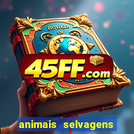 animais selvagens fotos e nomes
